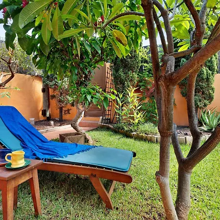 Energy Garden Gasthof Bajamar (La Laguna)