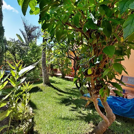 Energy Garden 3* Bajamar (La Laguna)