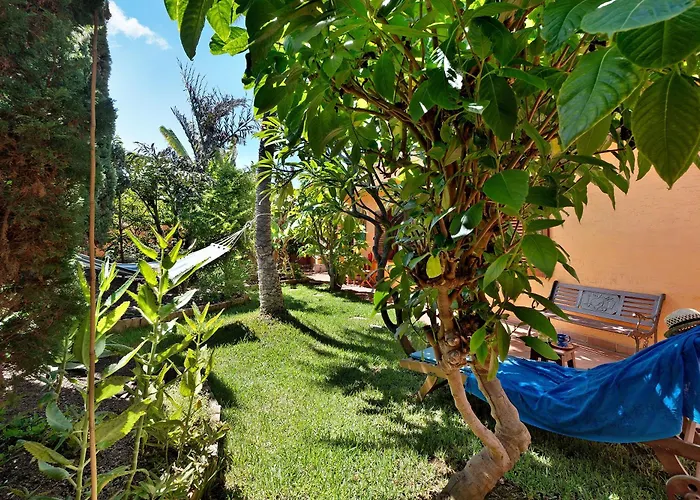 Energy Garden 3* באיאמר